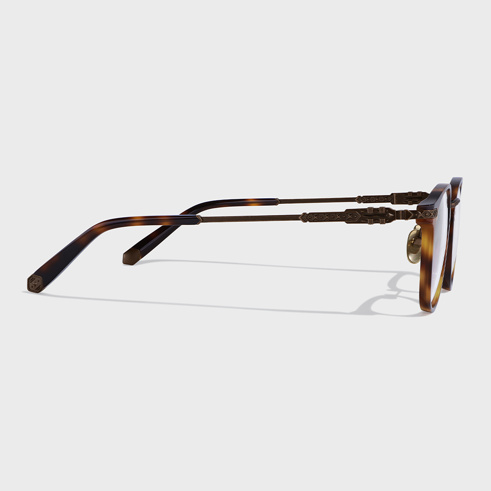 YETO-LC004 TORTOISE