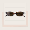 YET-502 Red Turtle