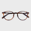 YETO-LC004 TORTOISE