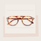 C2/AMBER TORTOISE
