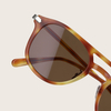 YET344 AMBER TORTOISE