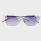 C4 / GRADIENT PURPLE