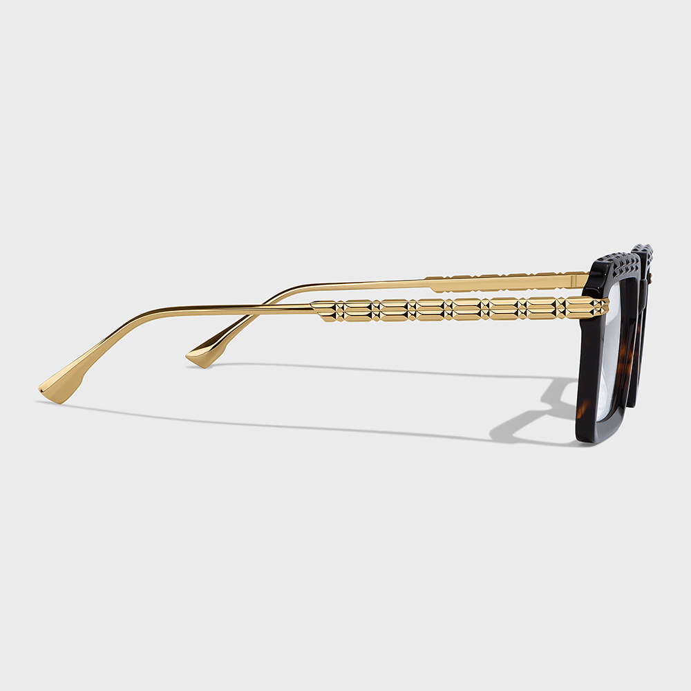 YETO-LC005 TORTOISE